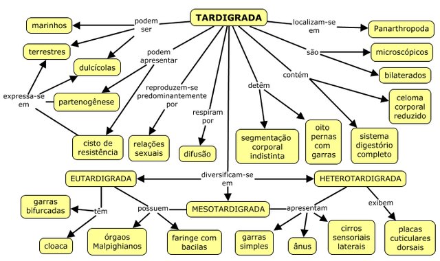 Esquema das características do filo Tardigrada.
